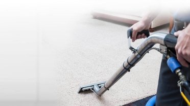 Professional Carpet Cleaniners